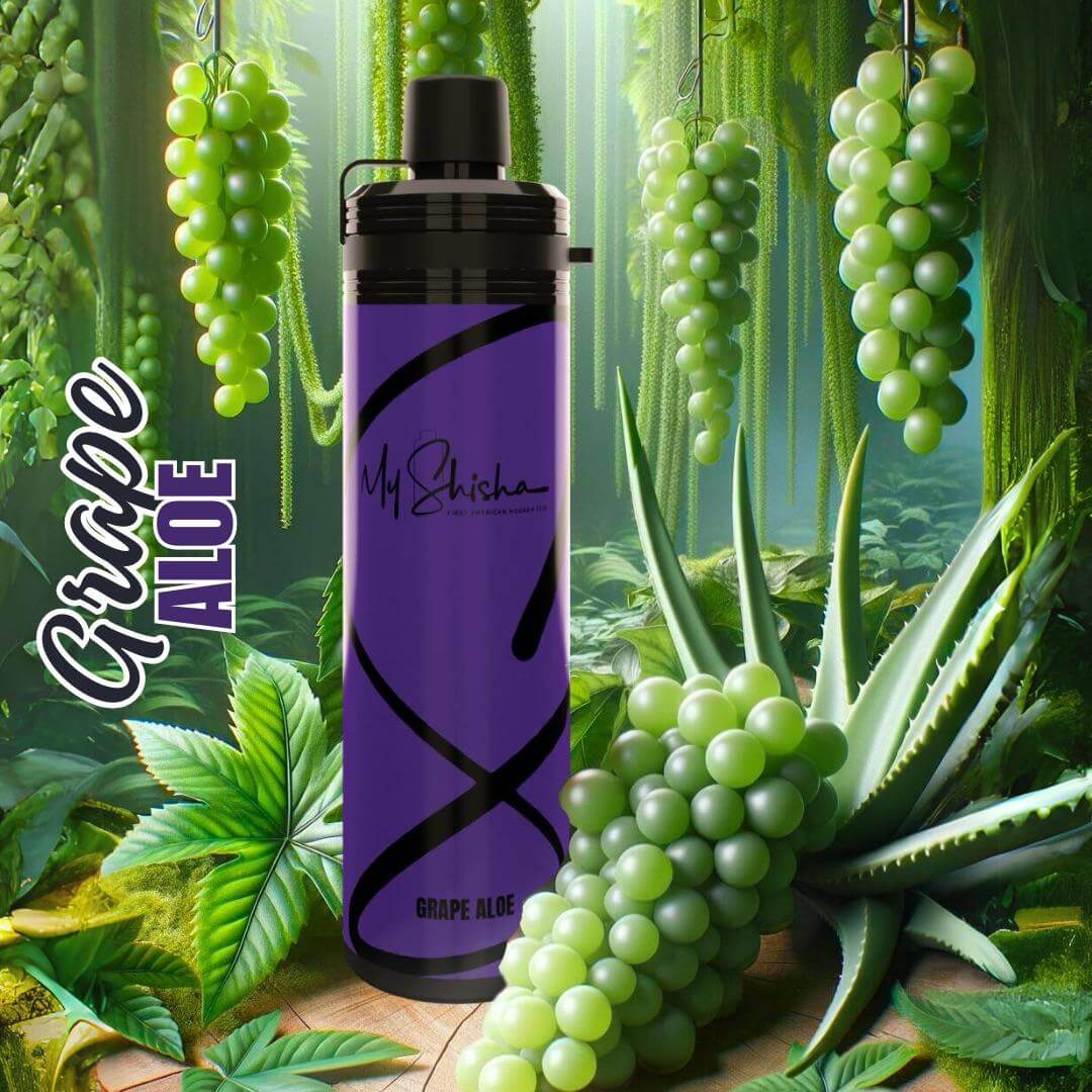 MY SHISHA DTL 16500 PUFFS – Global Premium | VAPE DOKHA