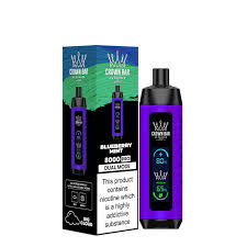 al fakher Blubery mint